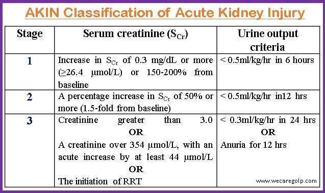 Is Aki Hayakawa Stronger Than Inosuke Hashibira in a Fight?